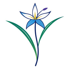 dianella caerule line art