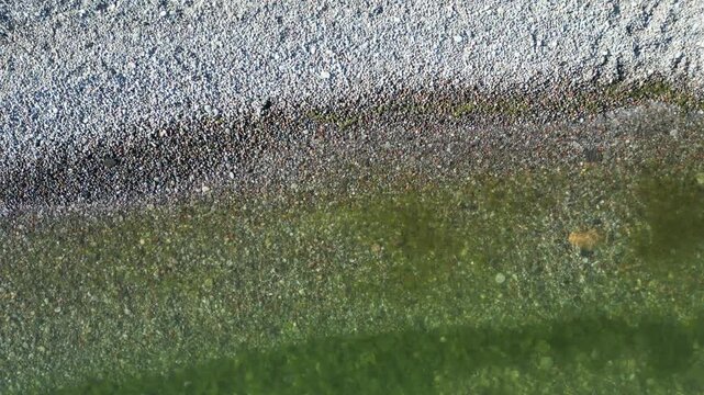 Small waves on a pebble beach with seaweed in the water - Petites vagues sur une plages de galet avec des algues dans l'eau
