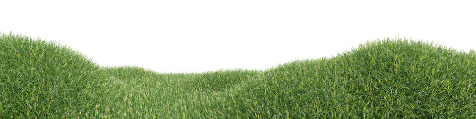 3d Grass Landscape with a Lush Texture on Transparent Background for Outdoor