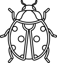 vector illustration of a beetle