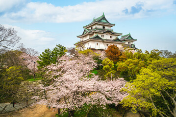 Tenshu of Wakayama Castle, a Japanese castle located in Wakayama, Kansai, Japan. © Richie Chan