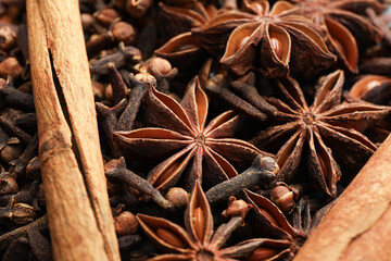 Mulled wine spices. Anise stars, cloves and cinnamon sticks, closeup