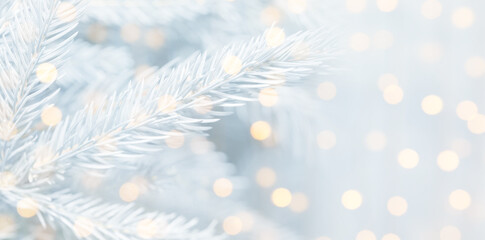 Christmas greeting card with fir tree branches and bokeh lights. Banner design