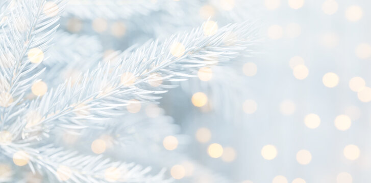 Christmas greeting card with fir tree branches and bokeh lights. Banner design - Powered by Adobe