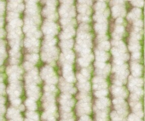 A blurred close-up of cactus spines creates an abstract pattern.