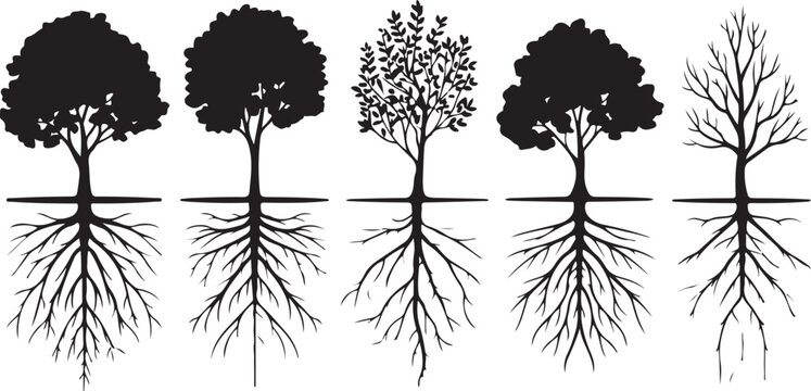 Silhouettes of Trees with Roots for Environmental Conservation or Nature Study Educational Materials 130 Characters