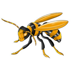 Bee Illustration Digital Drawing