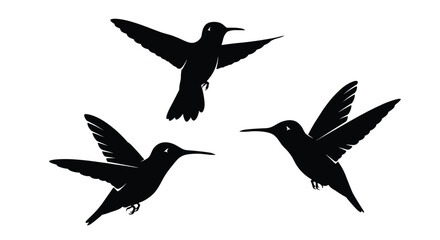 Three black hummingbird silhouettes in flight on white background flying