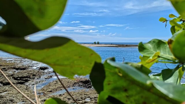 4K footage of Pulau Kaki in Manokwari, West Papua, captured through coastal ketapang leaves. Clear blue sea, rocky shore, and tropical island scenery framed by green foliage.