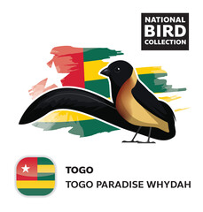 National Bird Set Togo Whydah Vector Character