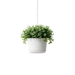 Hanging white pot with trailing green foliage and tiny white flowers, minimalist interior planter adding fresh natural charm to modern spaces