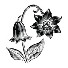 Vector illustration of bluebell flowers with isolated elements and charming floral composition