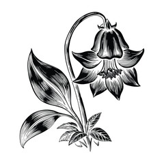 Detailed bluebell flowers vector artwork for textile design fabric patterns and spring themes