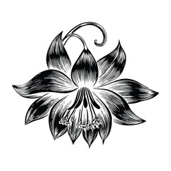 Vector illustration of bluebell flowers with elegant natural layout and realistic shading