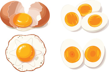 Realistic illustrations of raw, fried, soft-boiled, and hard-boiled eggs — culinary artwork showing diverse cooking styles and textures