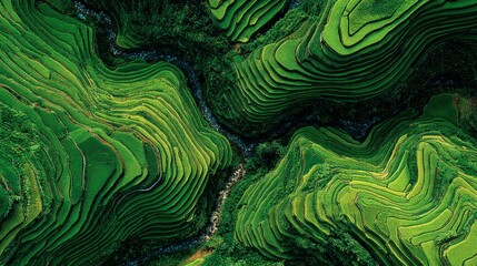 an aerial perspective of a lush green landscape with intricate patterns that mimic the appearance of an abstract carpet or a topographical map