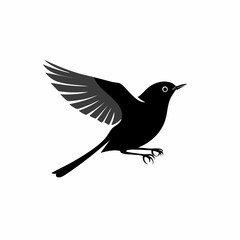 Fototapeta premium Elegant silhouette of a black bird in flight against a clean white background showing freedom