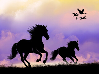 This illustration features a bold black silhouette of a wild horse standing on a hill against a vibrant orange watercolor sunset. The soft textured sky and natural landscape create a calm and atmosphe