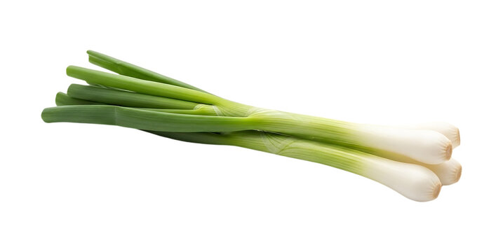 Fresh green onions with white bulbs isolated on a transparent background scallion