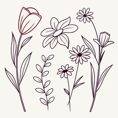Delicate hand drawn line art floral illustration featuring a tulip daisy and other wildflowers with leaves on a simple cream background for design and decoration