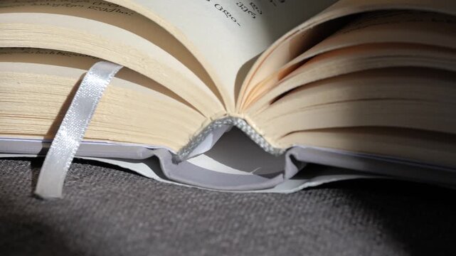 Enjoying a quiet moment with an open book