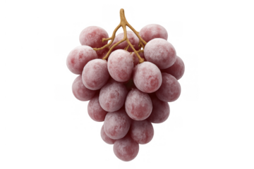 Fresh red grapes bunch with a natural bloom. Healthy raw fruit on transparent background, ready for use