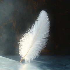 Soft white feather standing upright on a textured surface illuminated by gentle natural light creating a calm and delicate atmosphere