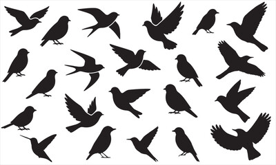 Set of Flying and Perching Bird Silhouettes: Sparrow, Pigeon, Swallow, and Nature Graphic Pack