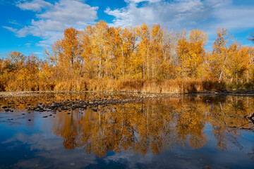 November reflections