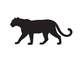 Chocolate Leopard in silhouette white background.