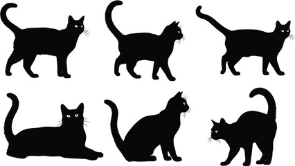 Set of black cat silhouettes vector domestic pet animal figures walking sitting and lying isolated on white background