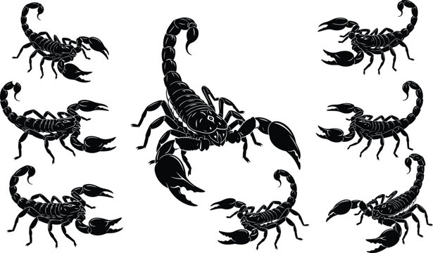 Scorpion silhouettes set black arachnid vector illustration for tattoo and zodiac logo design.