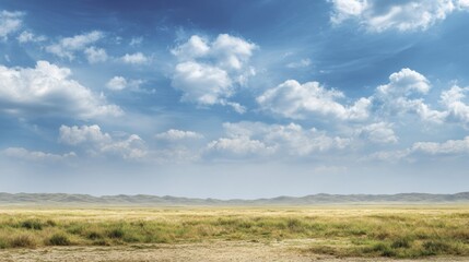 Obraz premium Grassy Plain Landscape Under a Wide Open Sky With Clouds and Space for Text at Sunrise or Sunset