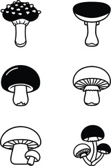 Black and white mushroom illustration set, hand drawn fungi sketch collection, vintage botanical drawing, edible forest mushrooms, nature design elements
