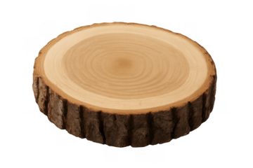 Wood slice cross-section revealing natural grain and textured bark, rustic lumber element with transparent background