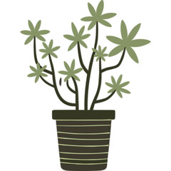 Stylized Potted Plant With Star Shaped Leaves In A Striped Dark Pot On A Black Background
