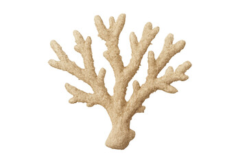 Fototapeta premium Beige coral branch showing marine organism details for underwater life and ocean ecosystems