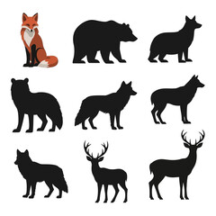 Wild Animals Illustration