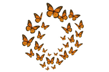Fototapeta premium Monarch butterflies forming heart shape, flying in a swarm, symbolizing love, spring, and freedom on a transparent background