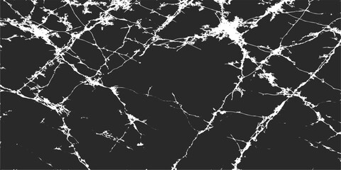Black and white abstract background texture pattern with a seamless spiderweb net design illustration © maria