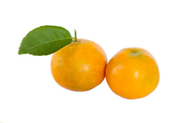 Orange fruit. white background, simple presentation.