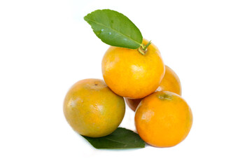 Oranges fruit simple presentation. isolated on white background