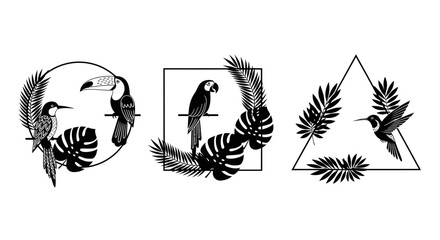 Exotic tropical birds toucan macaw hummingbird with lush palm leaves in elegant geometric frames