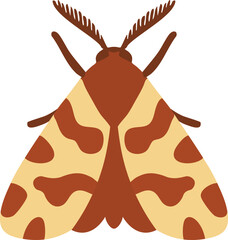 Spotted tan and brown moth © KEI KATA