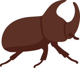 Rhinoceros beetle side view
