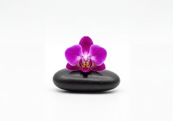 Vibrant purple orchid blossom resting gracefully on a smooth black spa stone