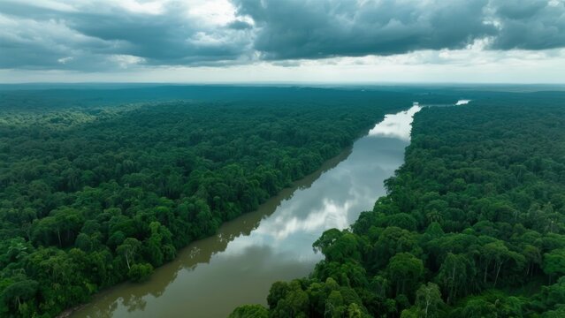 Aerial view of a winding river cutting through dense tropical rainforest under a cloudy sky - Powered by Adobe