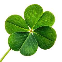 Close-up of a detailed, bright green four-leaf clover on black