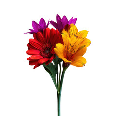 Isolated floral arrangement close-up of a vibrant flower bouquet in a bright setting