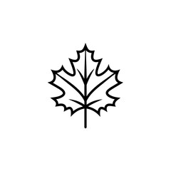 Fototapeta premium Outline drawing of a maple leaf art on transparent background silhouette